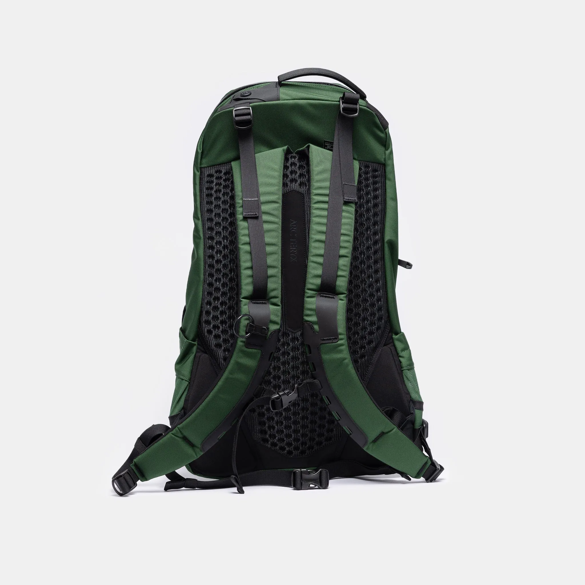 Arro 22 Backpack in Eden